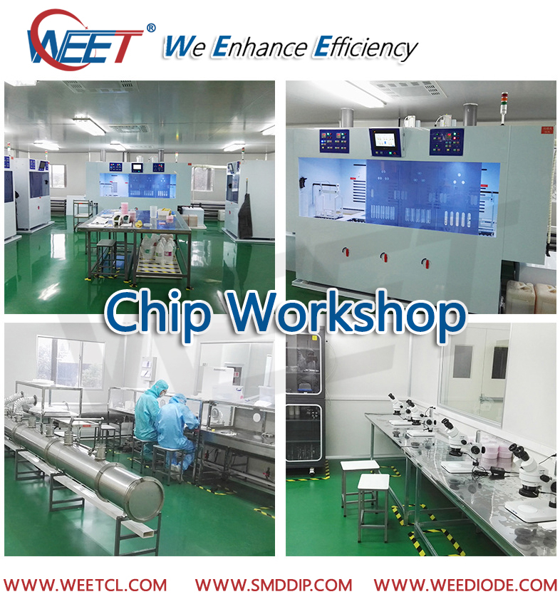 WEET-Wafer-Chip-Workshop-For-Transient-Voltage-Suppressors-and-Most-Diodes-Rectifiers-GPP-Chips